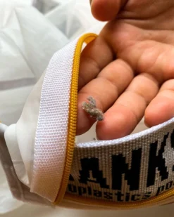 LEUS ECO WASH BAG -WavePulse Shop leus washbag lint 11411.1673632261